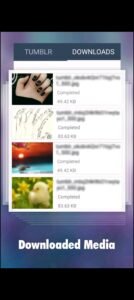 تحميل تمبلر عربي للاندرويد Tumblr.33.3.0.110.APK.2025 اخر اصدار 1