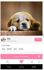 تحميل We Heart It مهكر 11.2.0.2025.APK وي هارت ات اخر اصدار 3