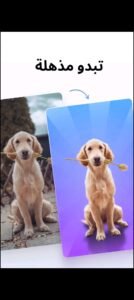 تحميل photoroom مهكر 4.8.6.2025.APK فوتو روم اخر اصدار 4