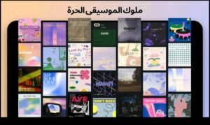 تحميل كين ماستر مهكر KineMaster.APK.2025 اخر اصدار 6