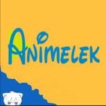 انمي ليك مهكر