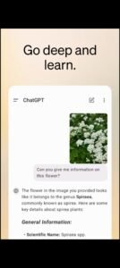 تحميل Chatgpt مهكر APK.2025 شات جي بي تي اخر اصدار 2