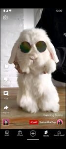 تحميل يوتيوب YouTube.APK.2025 اخر اصدار 4