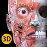 Anatomy 3D Atlas مهكر