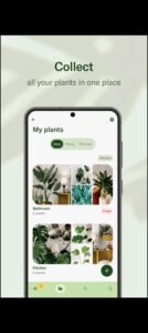 تحميل تطبيق Planta مهكر APK.2025 لمعرفة ورعاية النبات اخر اصدار 2