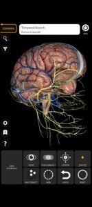 تحميل Anatomy 3D Atlas مهكر APK.2025 اناتومي 3d اخر اصدار 2