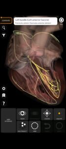 تحميل Anatomy 3D Atlas مهكر APK.2025 اناتومي 3d اخر اصدار 3