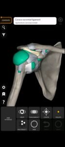 تحميل Anatomy 3D Atlas مهكر APK.2025 اناتومي 3d اخر اصدار 5