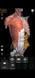 تحميل Anatomy 3D Atlas مهكر APK.2025 اناتومي 3d اخر اصدار 8