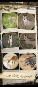 تحميل لعبة Hunting Sniper مهكرة APK.2025 قناص الصيد اخر اصدار 3