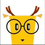 تطبيق LingoDeer مهكر 